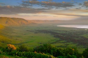 Best Tour Operator for Safari Tanzania – Large herd of wildlife inside Ngorongoro Crater during a guided game drive