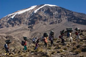Kilimanjaro porters carrying climbing gear during a trek with Native Son Expeditions