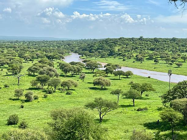 best Tarangire travel tips